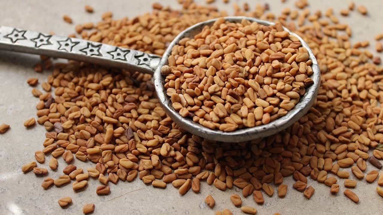 فوائد الحلبة للشعر