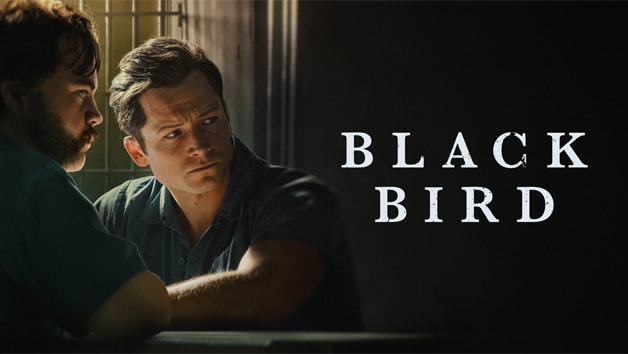 مسلسل Black Bird