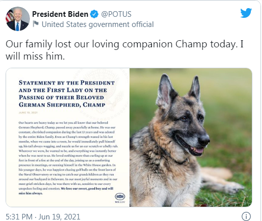 بايدن يعلن وفاة كلبه وينعيه بكلمات مؤثرة