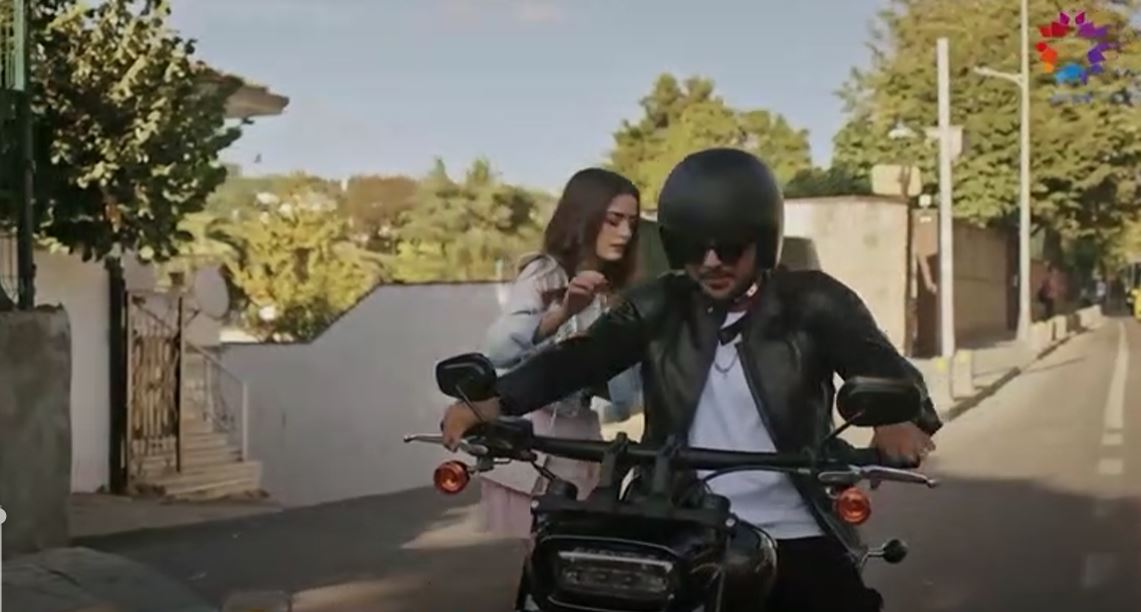 طائر الرفراف