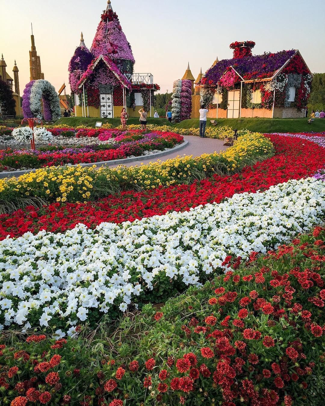 ميراكل غاردن