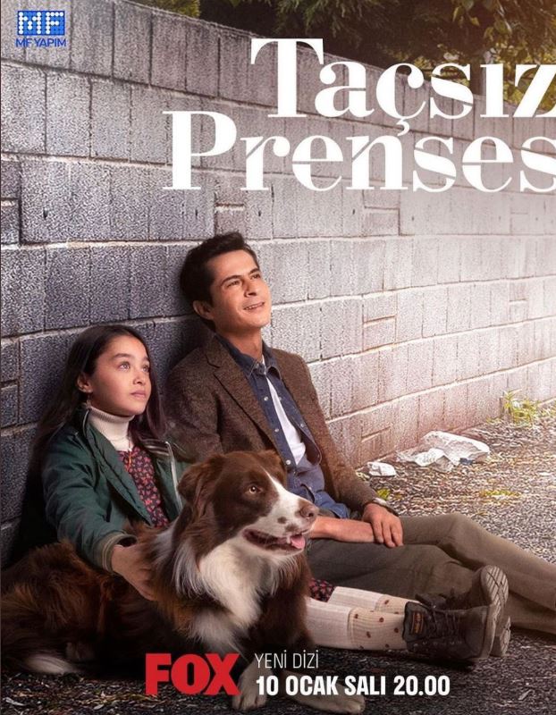 مسلسل أميرة بلا تاج