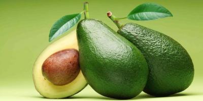 7 فوائد لتناول الأفوكادو خلال فترة الحمل