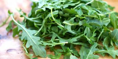 فوائد الجرجير للبشرة والشعر