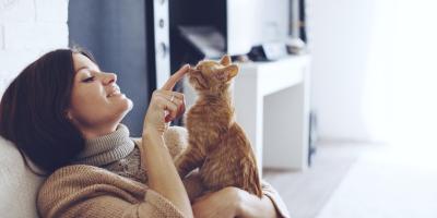  كيف تختارين حيوانك الأليف حسب برجك؟