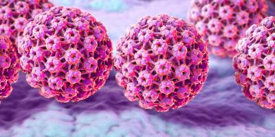 فيروس الورم الحليمي البشري (HPV)