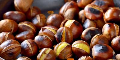 الكستناء: أنواعها وفوائدها الصحية