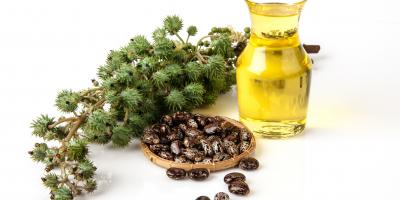 تعرّفي على فوائد زيت الخروع للشعر والبشرة خلال فصل الصيف