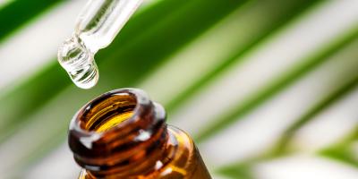 زيت شجرة الشاي.. 5 استخدامات يومية مهمة للزيت العطري ربما لا تعرفيها