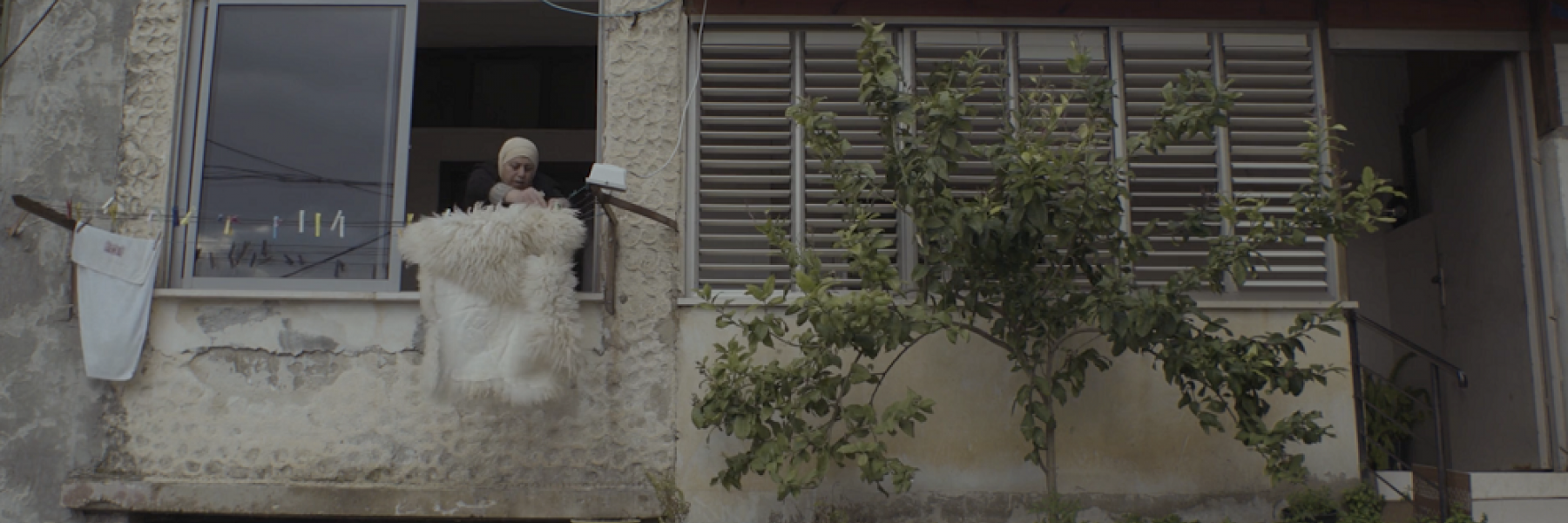 بالتعاون مع منصة «حبيبي كولكتيف» الذاكرة تروي حكايا الناس في عروض أفلام الشارقة للفنون 