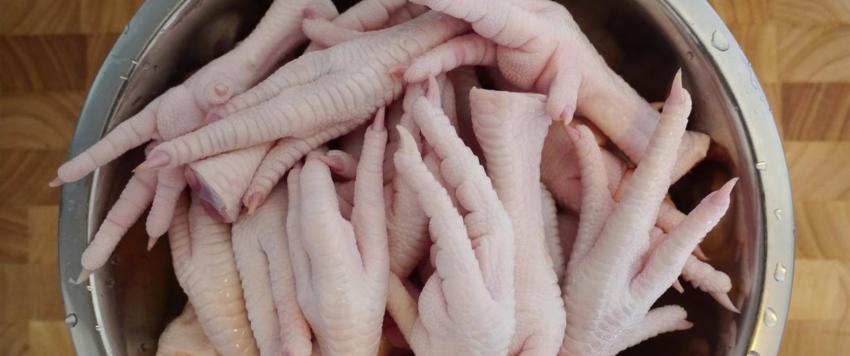 حساء أرجل الدجاج