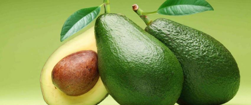 الأفوكادو