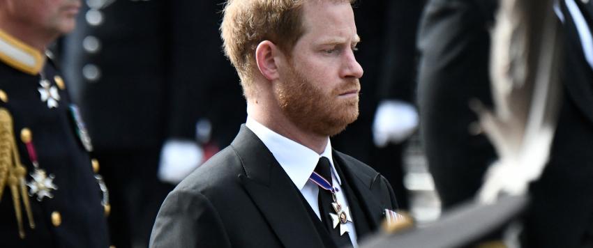 الأمير هاري