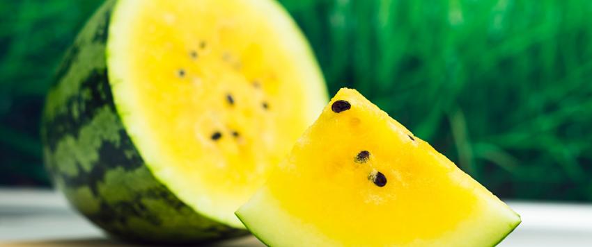 البطيخ الأصفر