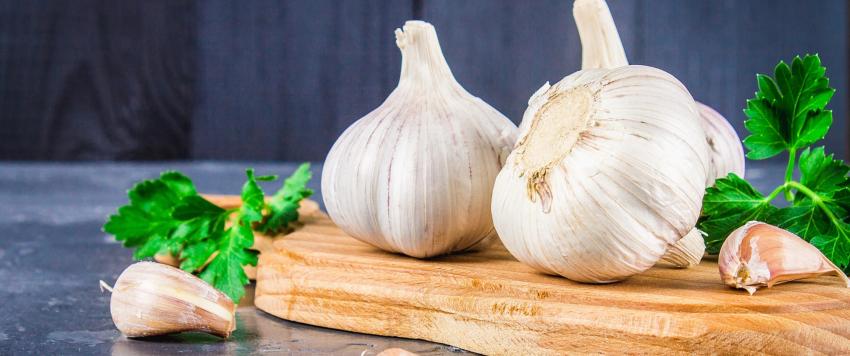 فوائد وأضرار تناول الثوم النيء