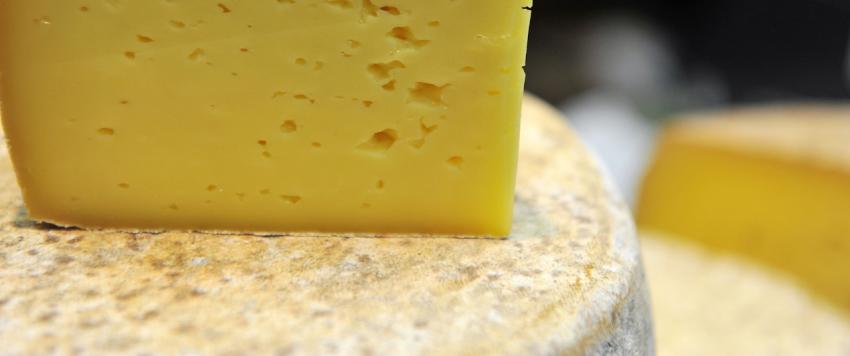 الجبن الرومي المقلي