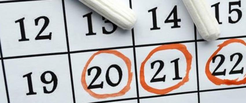 انتظام الدورة