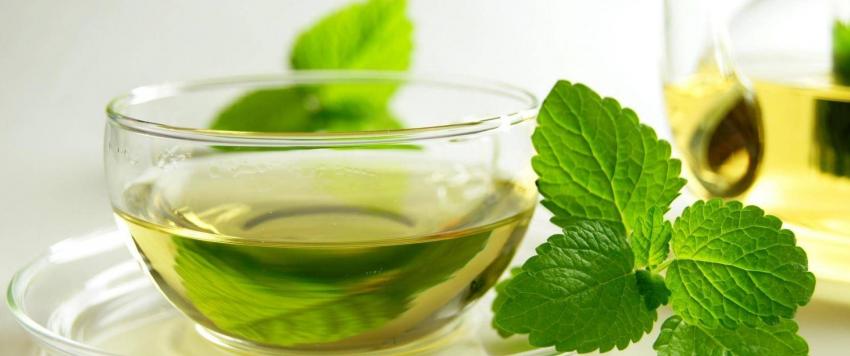 الشاي الأخضر