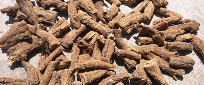 القسط الهندي