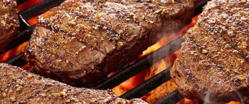 البروتين الحيواني