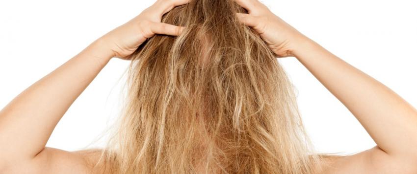 تشابك الشعر