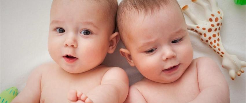 الحمل بالتوأم