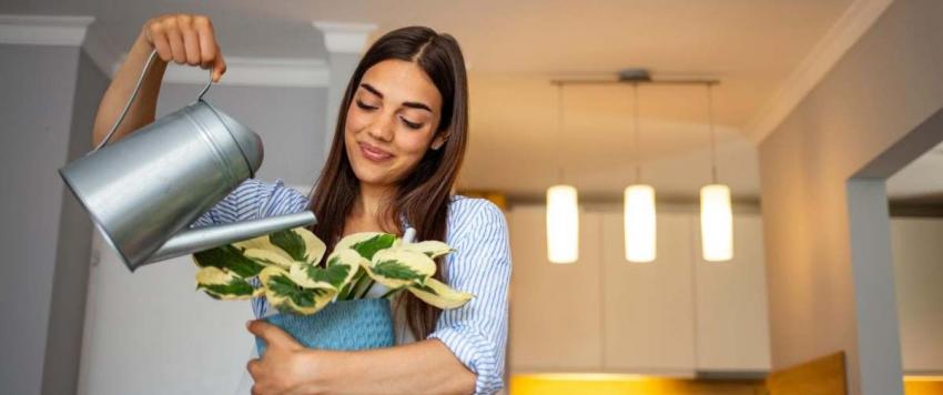 توقعات الأبراج اليوم الأحد 11 سبتمبر 2022