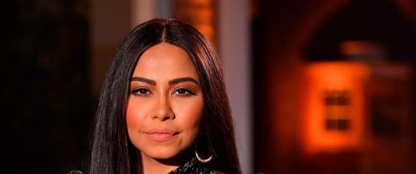 شيرين عبدالوهاب وحسام حبيب