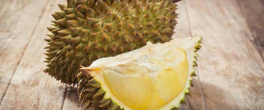 فاكهة الدوريان