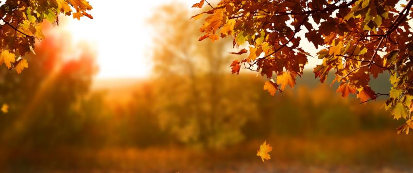 7 وجهات مناسبة لمحبي السياحة في فصل الخريف