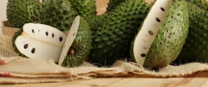 فاكهة القشطة 