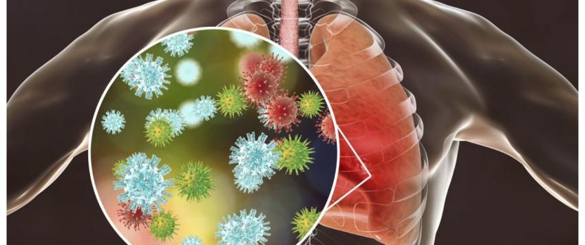 فيروس كورونا