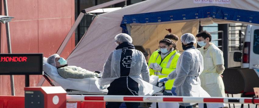 سلالة جديدة خطيرة من كورونا عبر الخنازير