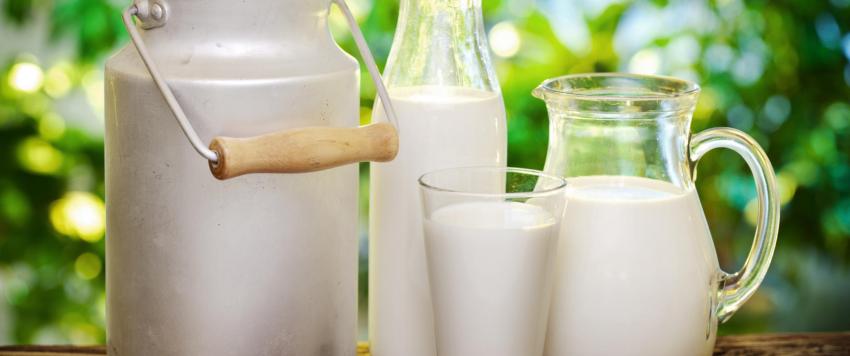 تخزين الحليب الطازج