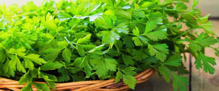 ما هي الفيتامينات والمعادن التي يحتويها البقدونس؟