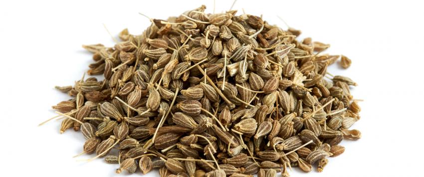 فوائد وأضرار اليانسون للطفل الرضيع!