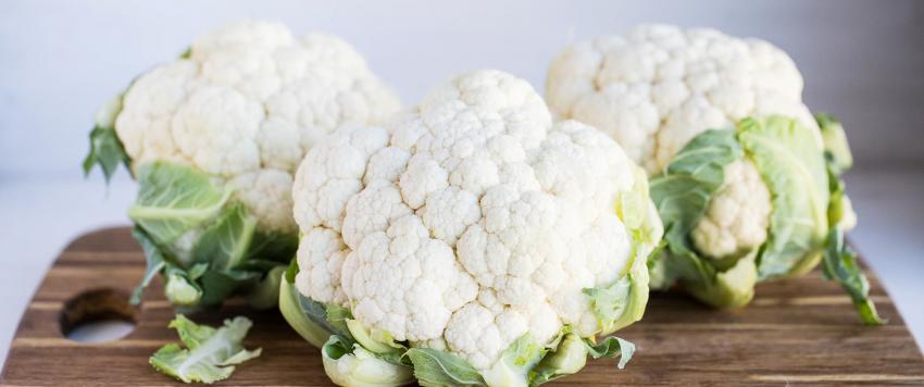 الزهرة البيضا