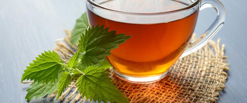 شاى النعناع