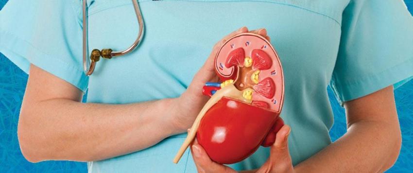 لقاح كورونا لمرضى الكلى ... أمور يجب وضعها في الاعتبار