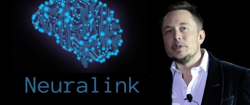 إيلون ماسك يكشف تفاصيل أول تجربة لزراعة شريحة نيورالينك في دماغ خنزير