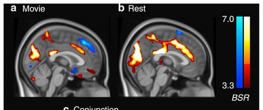  الشخص العادي لديه 6200 فكرة يوميًا
