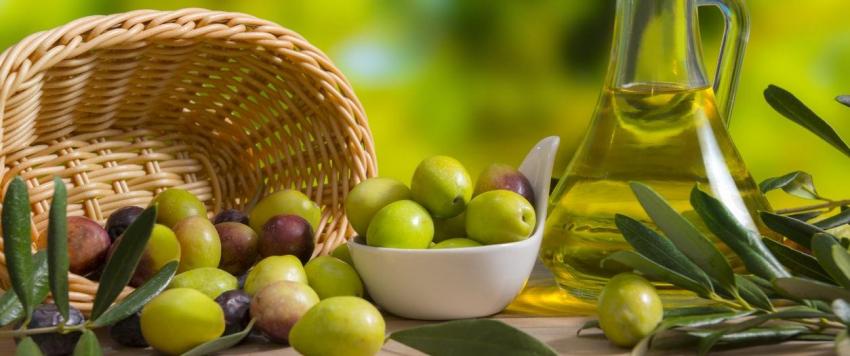 الزيت زيتون