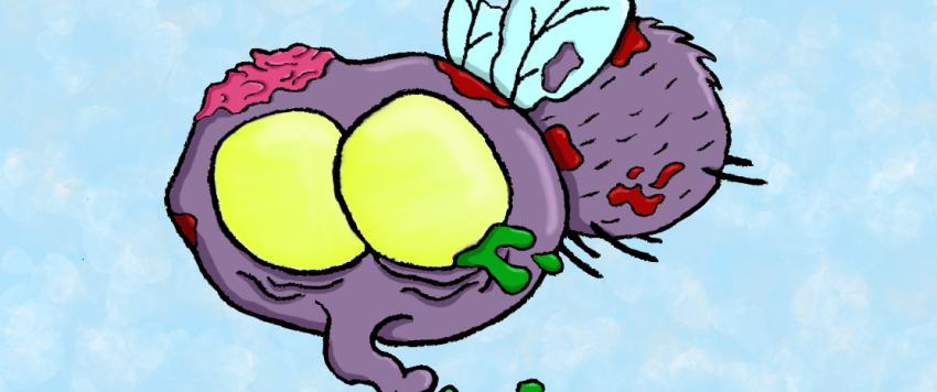 اكتشاف فطران جديدان يحولان الذباب إلى زومبي