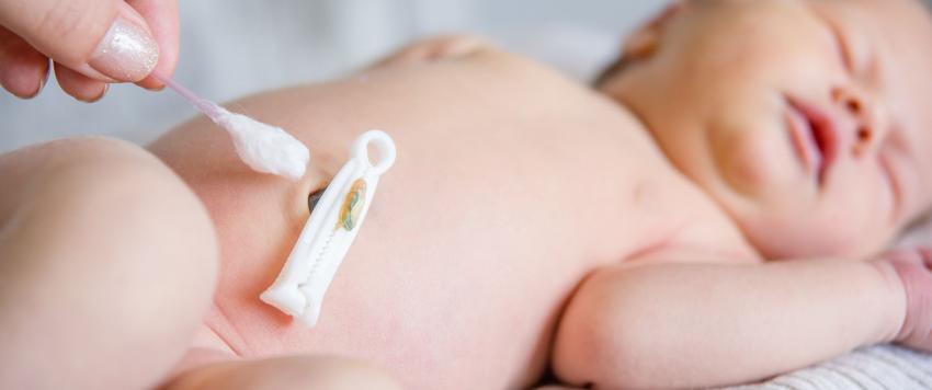 معلومات وحقائق عن الحبل السري