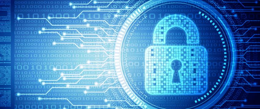 مبادئ أساسية يجب اتباعها لضمان الأمن السيبراني 