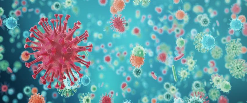 هل يستطيع الميكرويف قتل جزيئات فيروس كورونا على الطعام؟ 