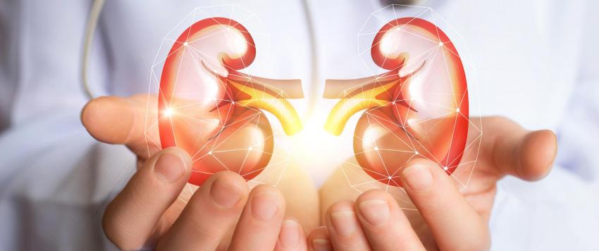 كِلى هدية من متبرع تنقذ فتىً إماراتياً في الوقت المناسب