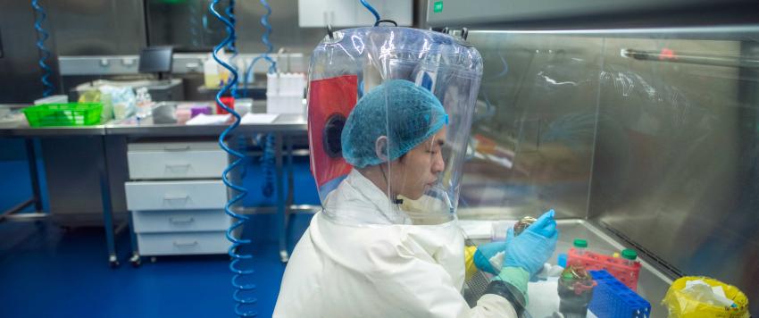 علماء ووهان تعرضوا لعضات الخفافيش قبل عامين من تفشي جائحة كورونا