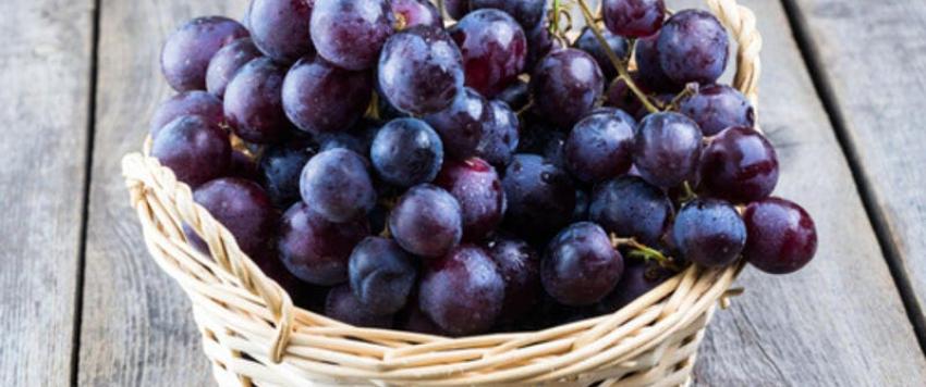 10 فوائد مذهلة للعنب الأسود عليك معرفتها