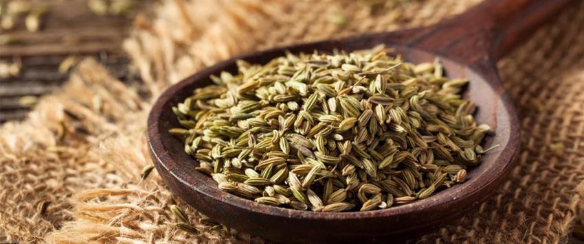 7 من فوائد بذور اليانسون الصحية المدهشة